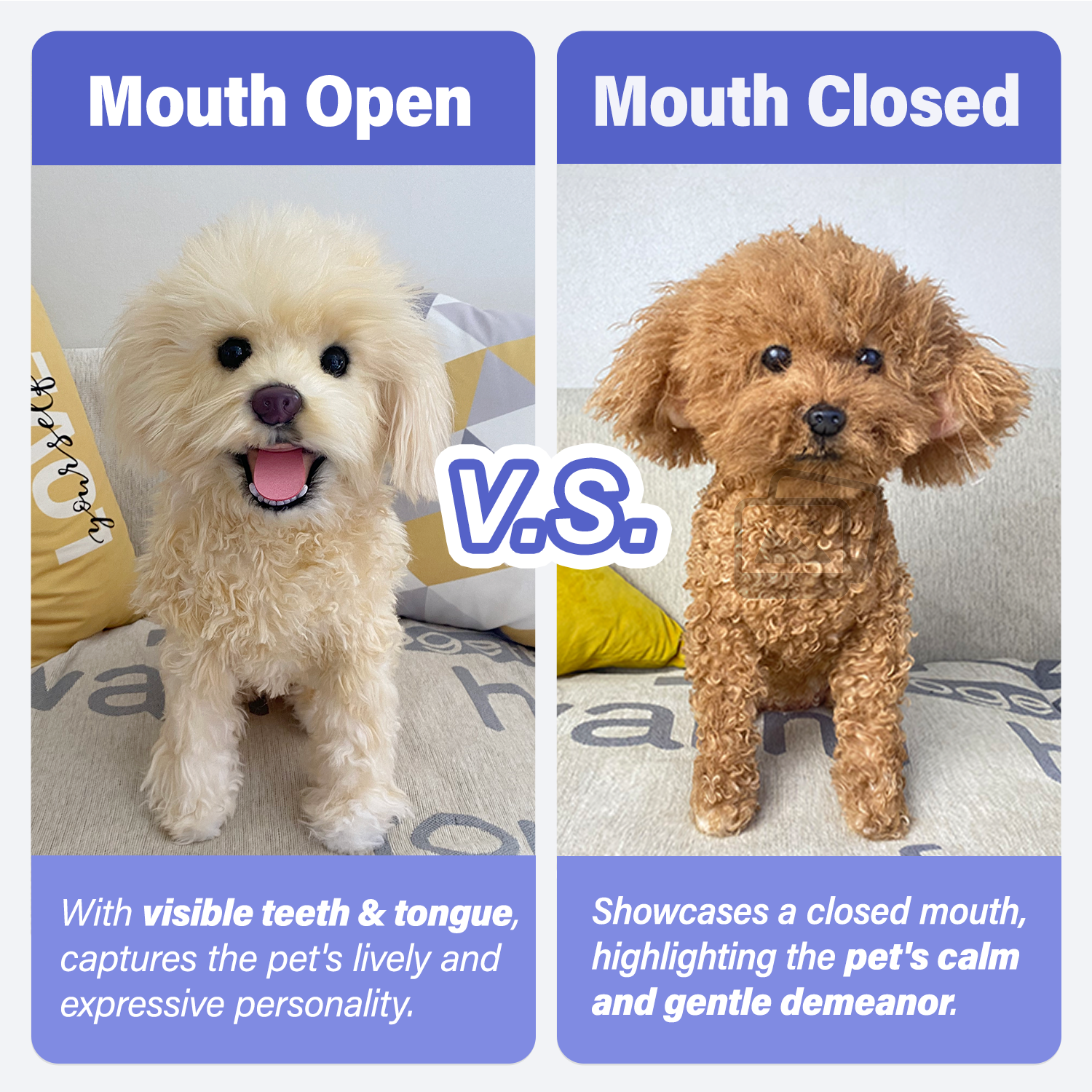 Addtional Fee For Open Mouth