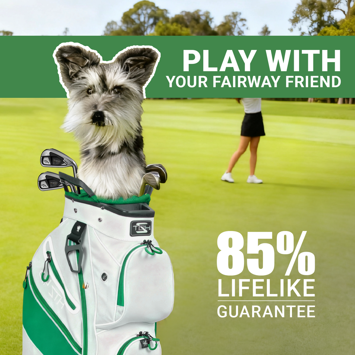 Schnauzer Golf Club Cover