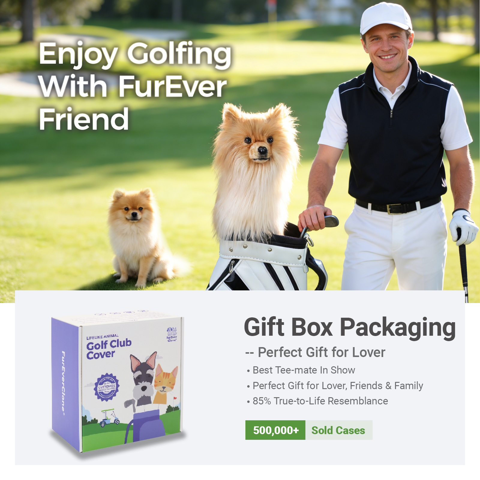 Golden Pomeranian Golf Club Cover