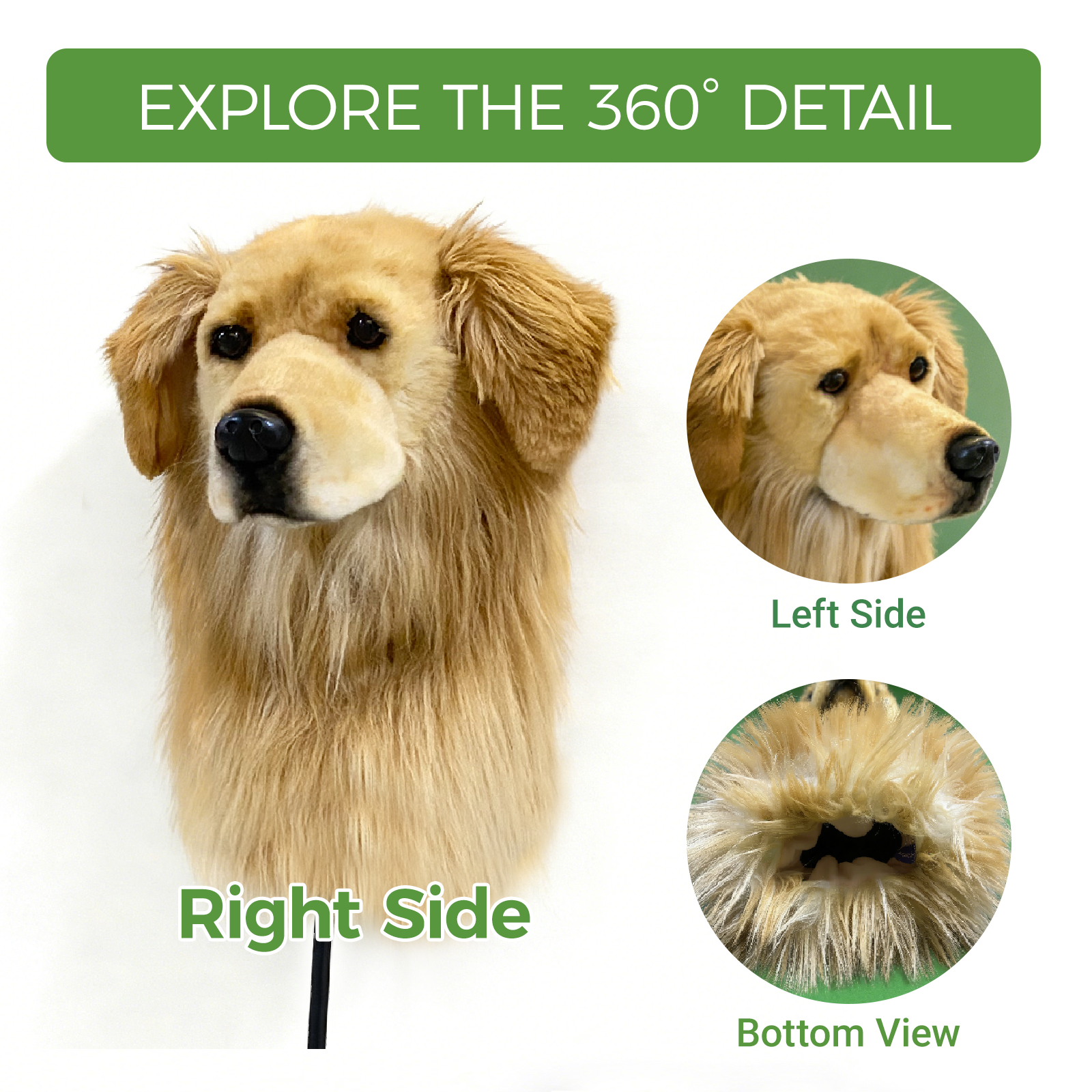 Golden Retriever Golf Club Cover