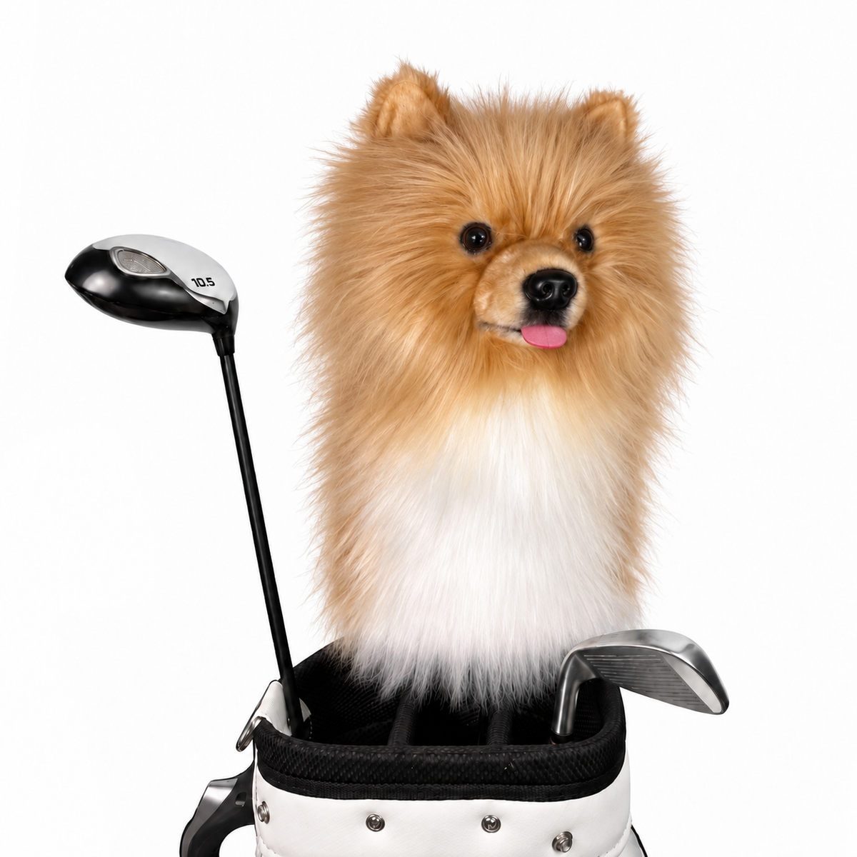 White Golden Pomeranian Golf Club Cover