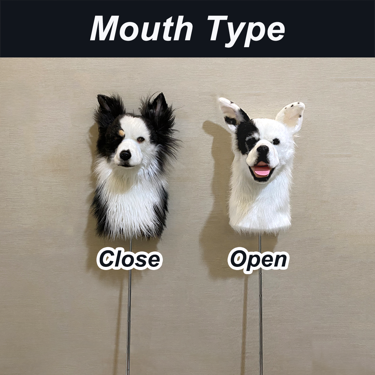 Addtional Fee For Open Mouth