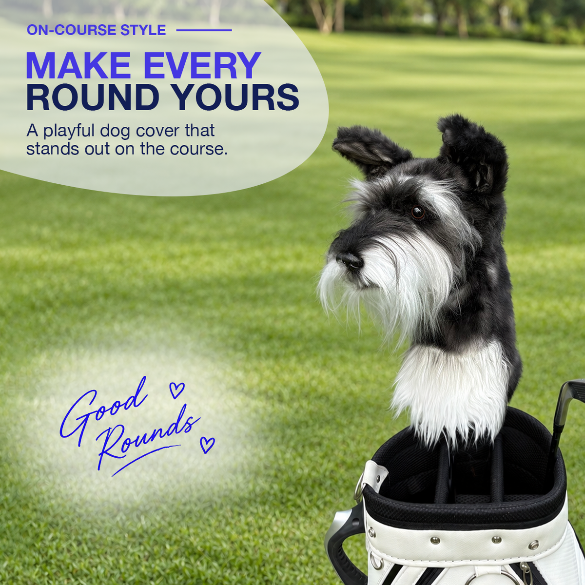 Black Schnauzer Golf Club Cover