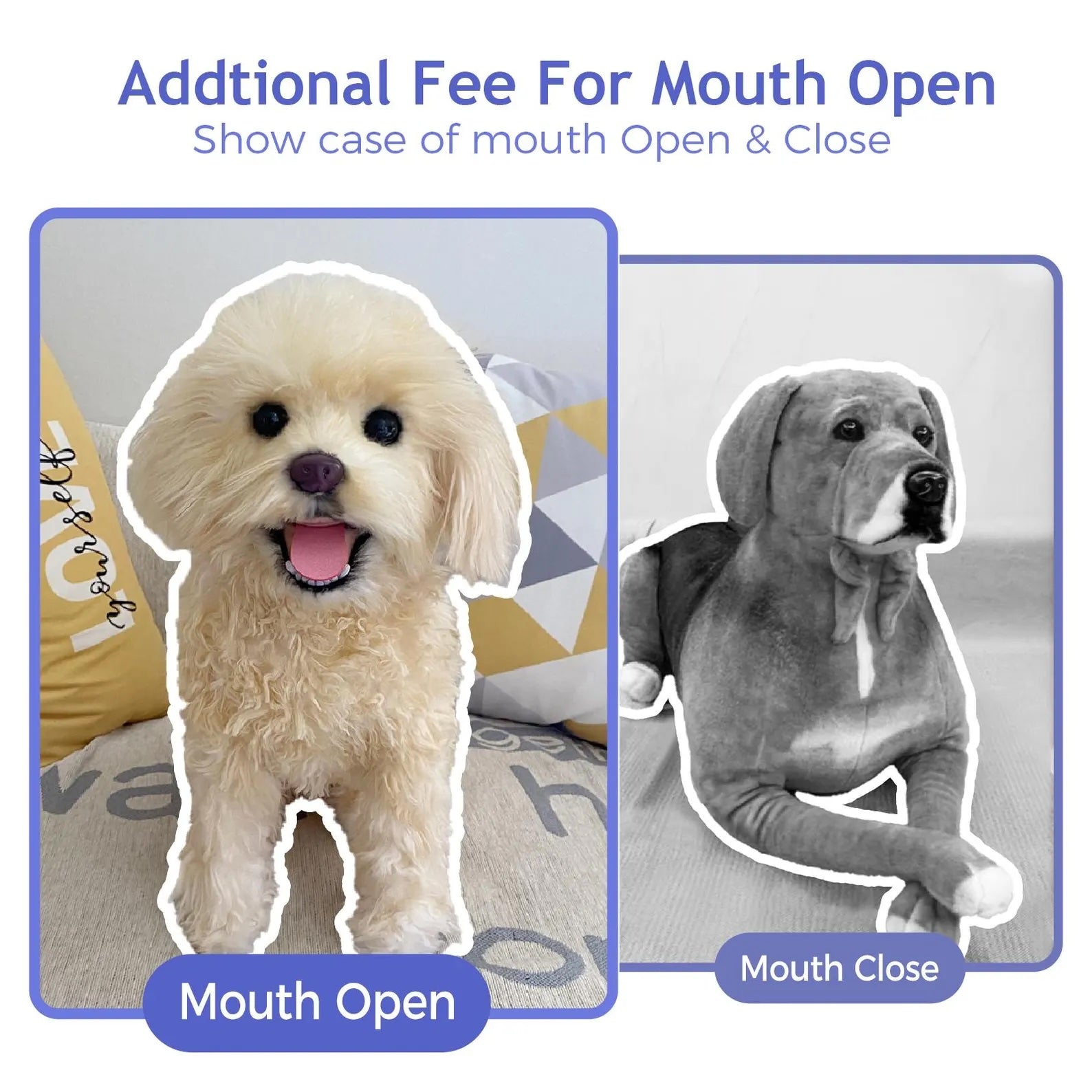 Addtional Fee For Open Mouth